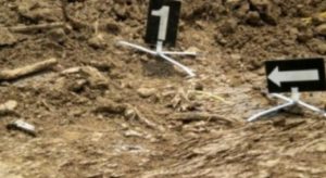 Gjenden eshtra që dyshohet se i përkasin një të zhdukuri nga lufta në Drenas